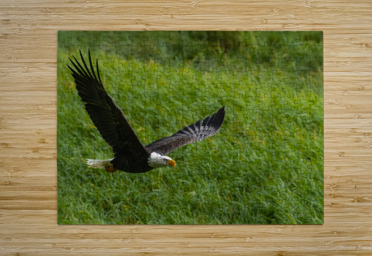 Bald Eagle Randy Tremblay Photography Puzzle printing