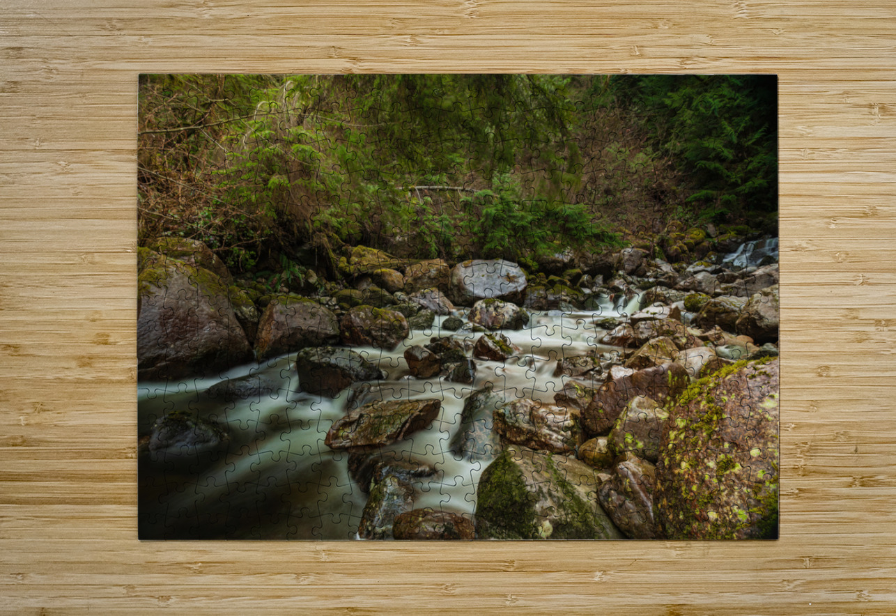Forest Stream Randy Tremblay Photography Puzzle printing
