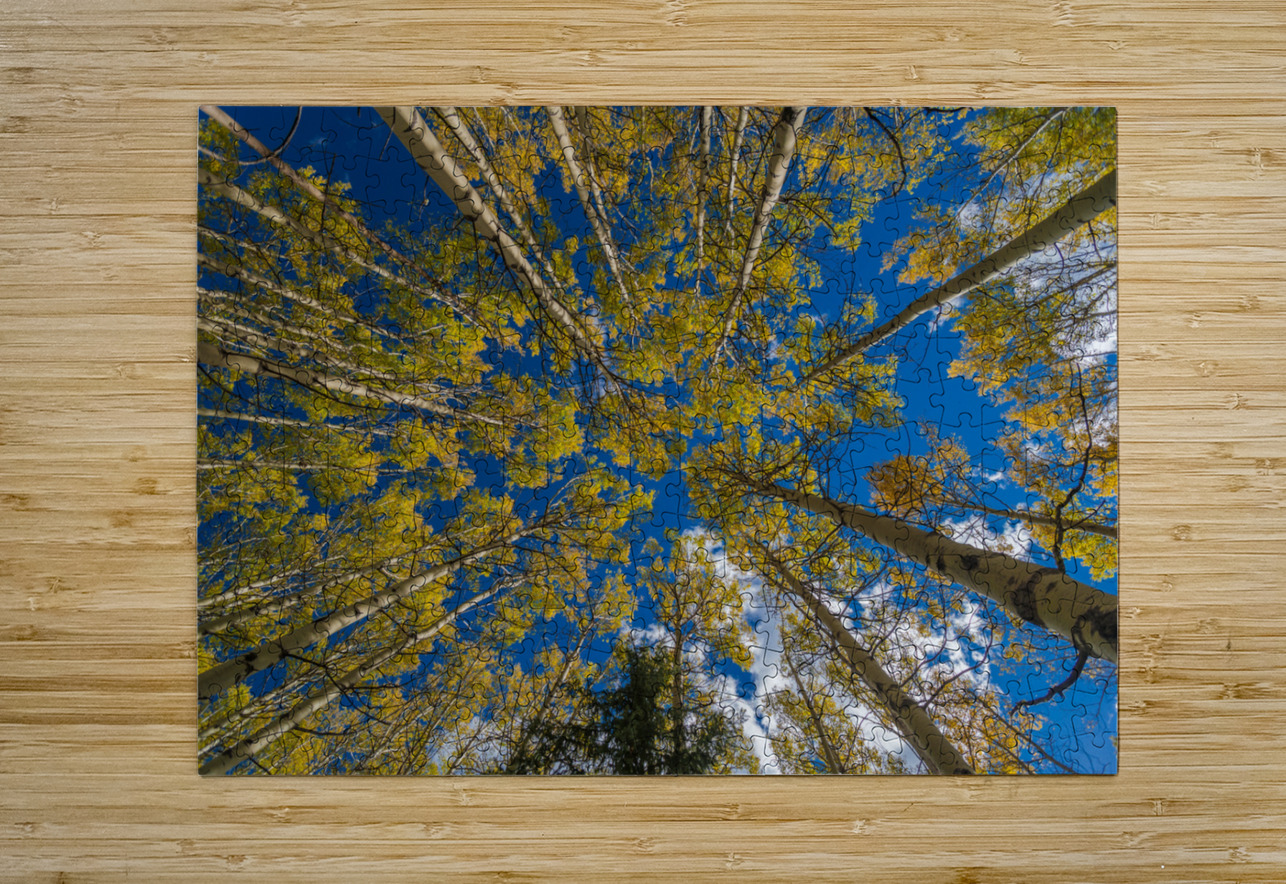 Fall Aspens Randy Tremblay Photography Puzzle printing
