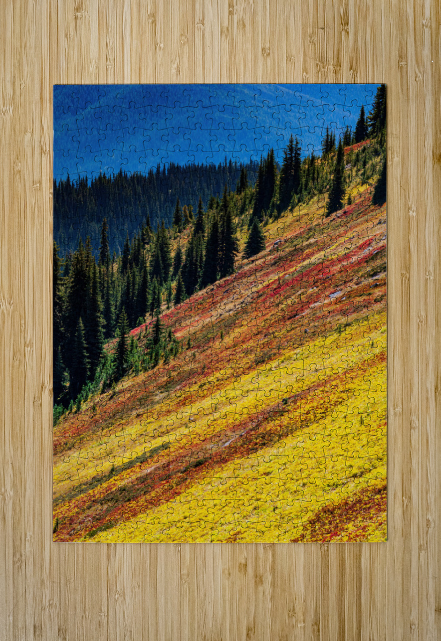 Mountain Wild Flowers Randy Tremblay Photography Puzzle printing