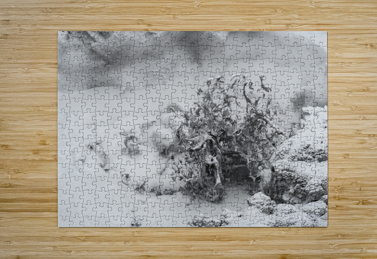 Thermal Mud Eruption Randy Tremblay Photography Puzzle printing
