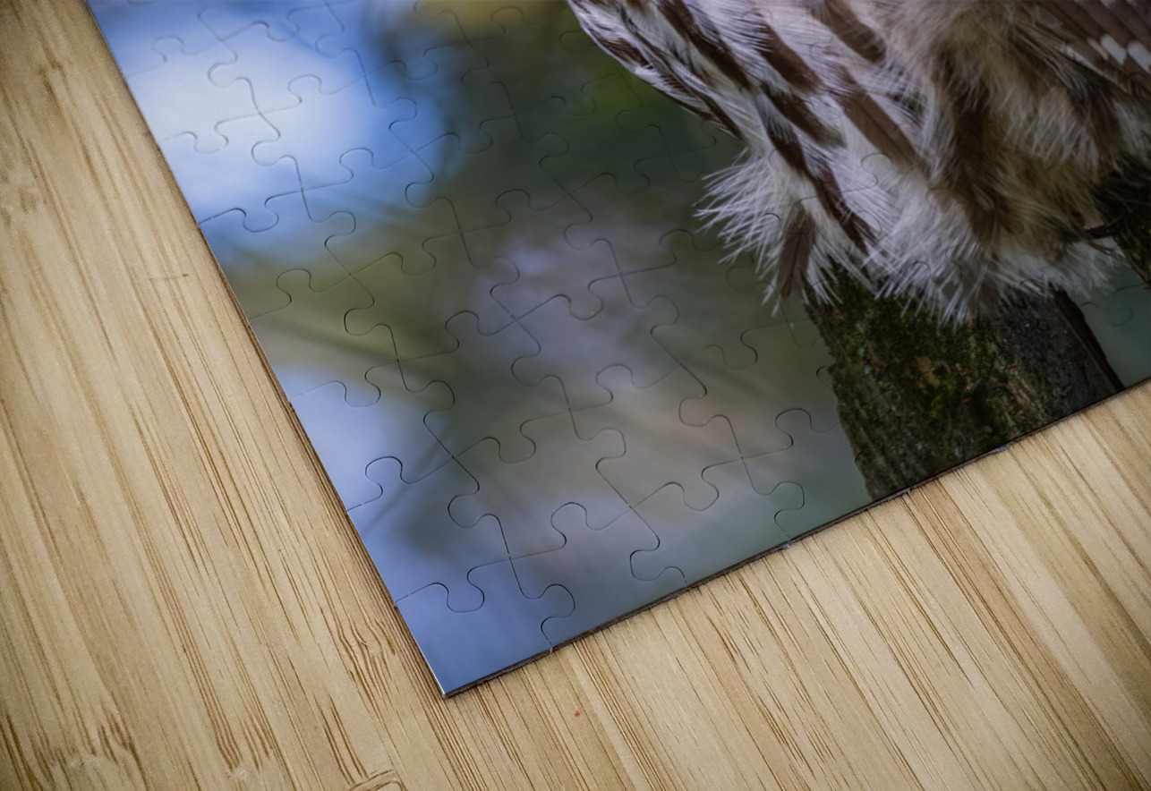 Barred Owl Randy Tremblay Photography Puzzle