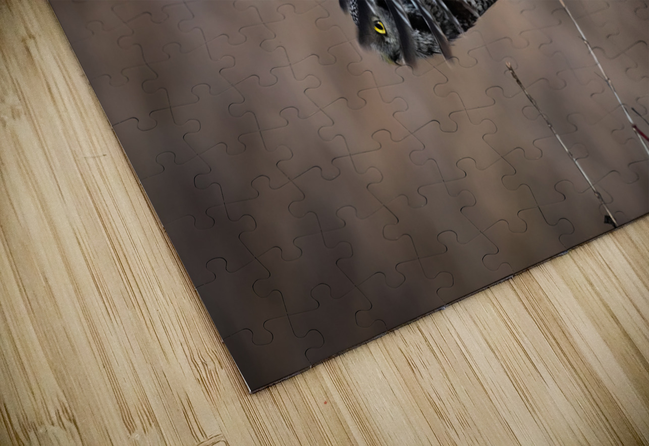 Northern Hawk Owl Randy Tremblay Photography Puzzle