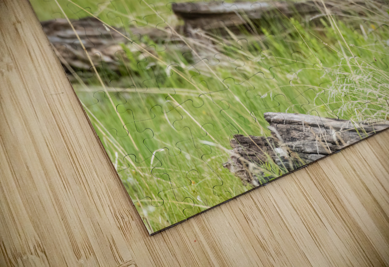 Great Gray Owl Randy Tremblay Photography Puzzle