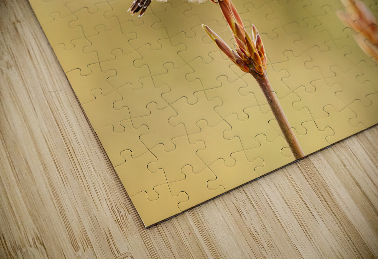 Northern Pygmy Owl Randy Tremblay Photography Puzzle