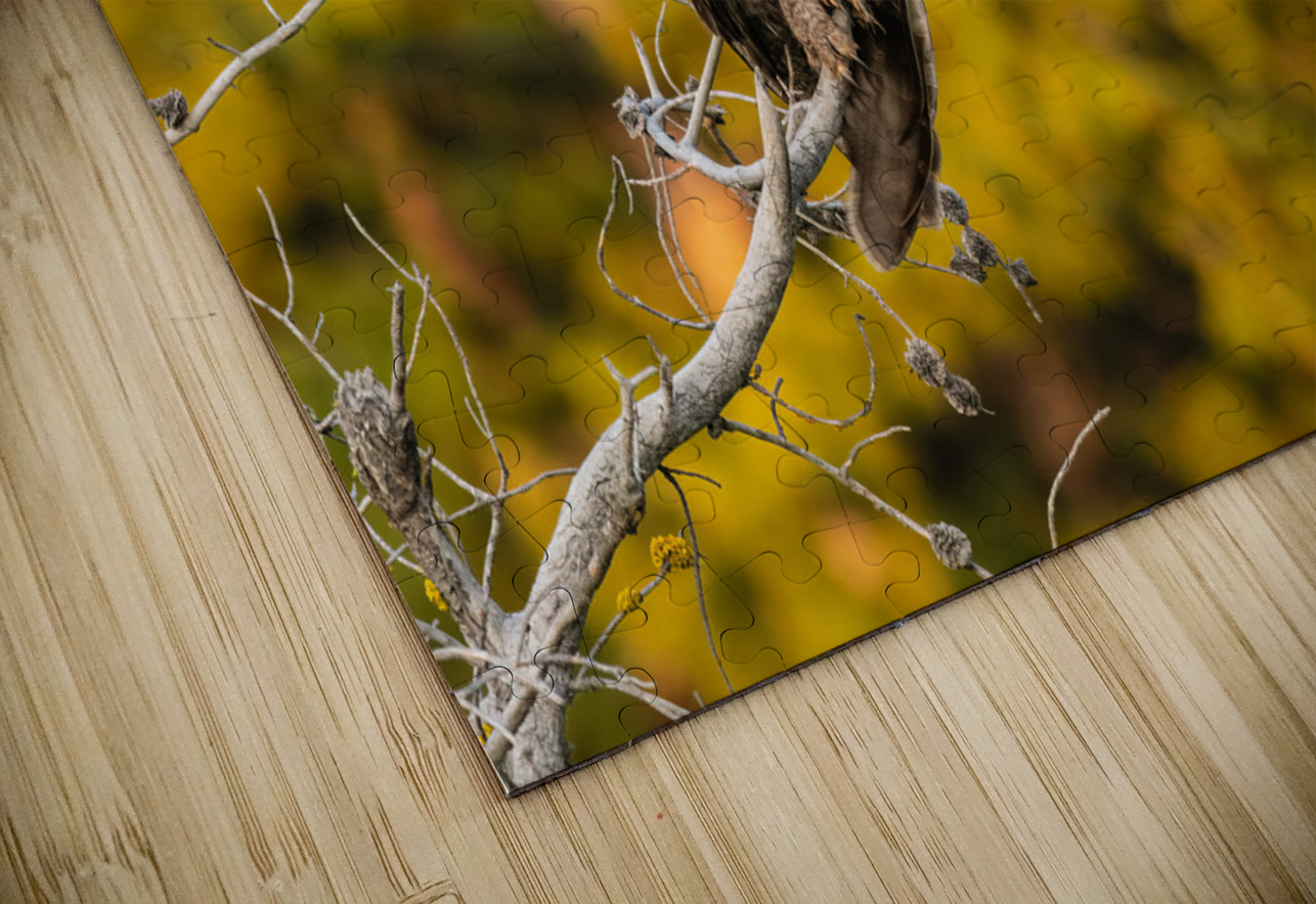 Great Gray Owl Randy Tremblay Photography Puzzle
