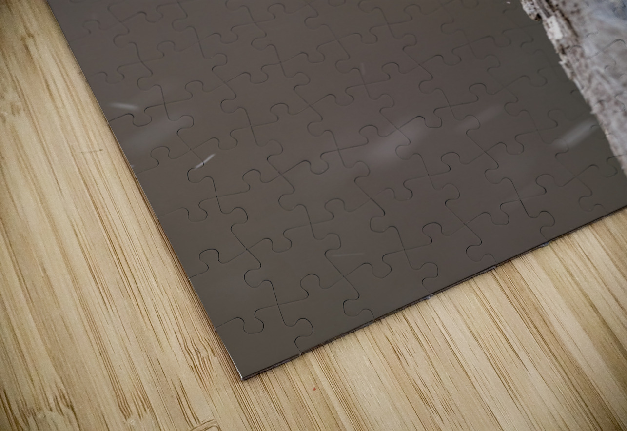 Northern Pygmy Owl Randy Tremblay Photography Puzzle