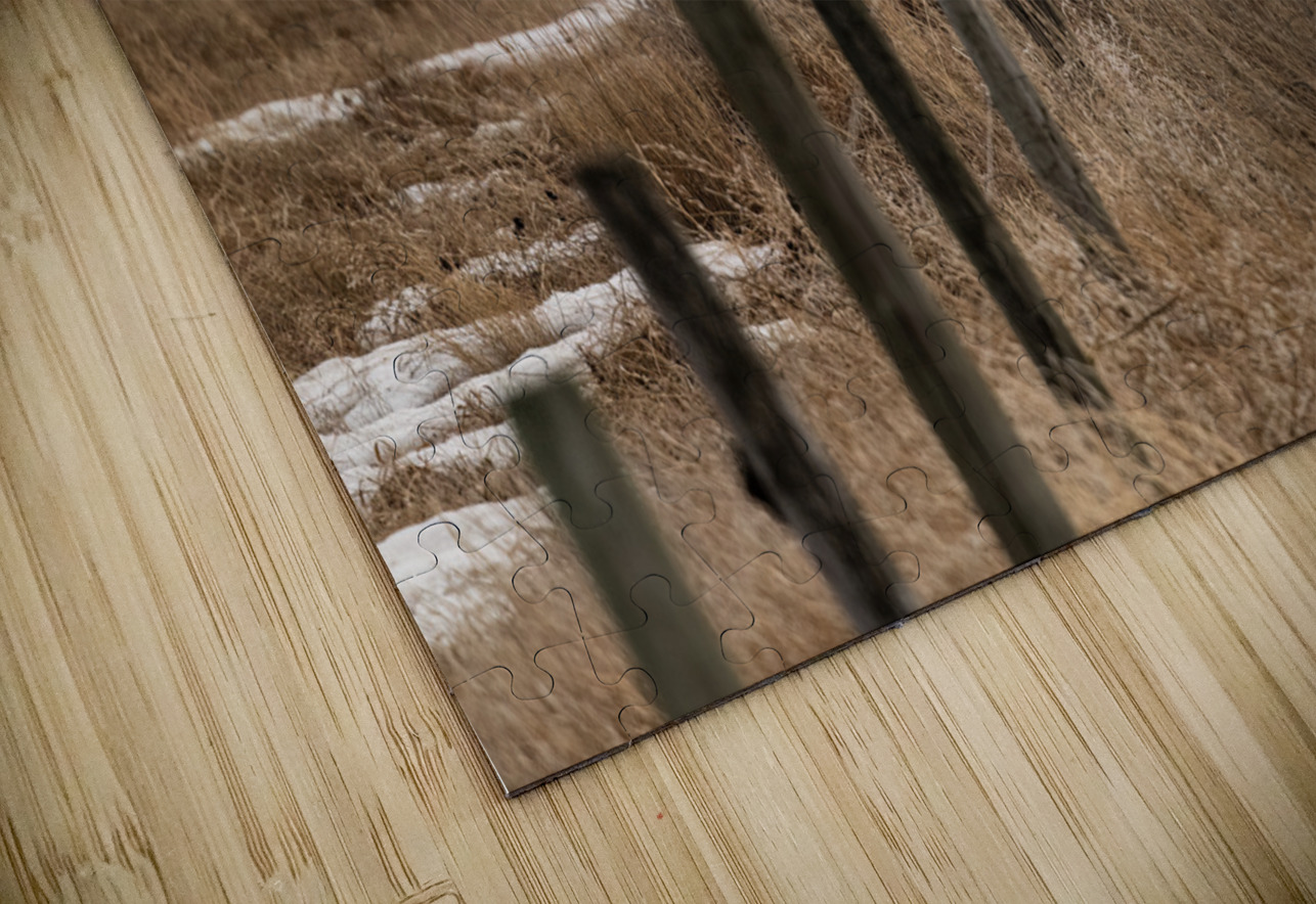 Snowy Owl Randy Tremblay Photography Puzzle