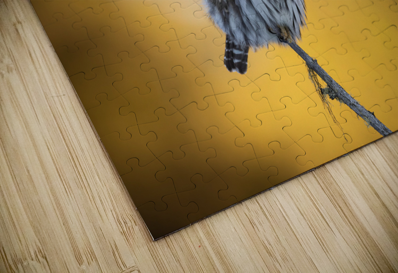 Northern Pygmy Owl Randy Tremblay Photography Puzzle