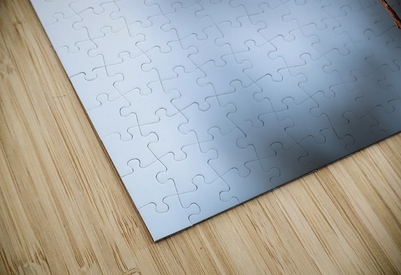 Northern Pygmy Owl Randy Tremblay Photography Puzzle