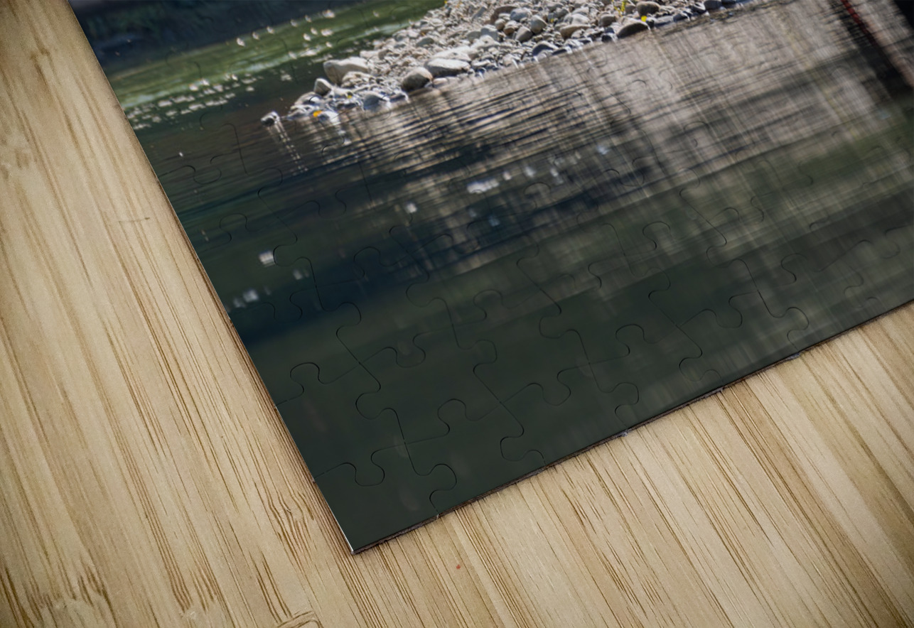 Grizzly Sow Randy Tremblay Photography Puzzle