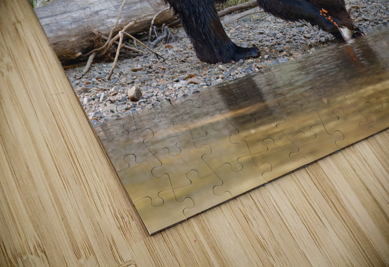 Grizzly Sow Randy Tremblay Photography Puzzle