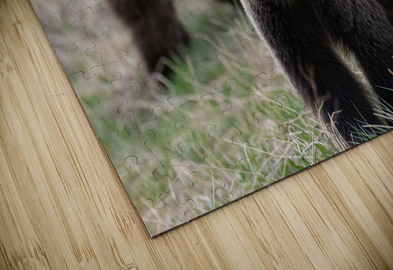 Grizzly Siblings Randy Tremblay Photography Puzzle