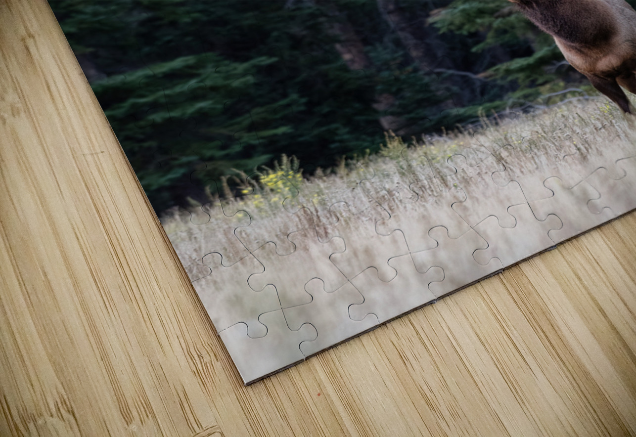 Bull Elk Randy Tremblay Photography Puzzle