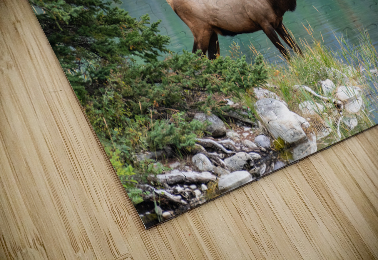Bull Elk Randy Tremblay Photography Puzzle
