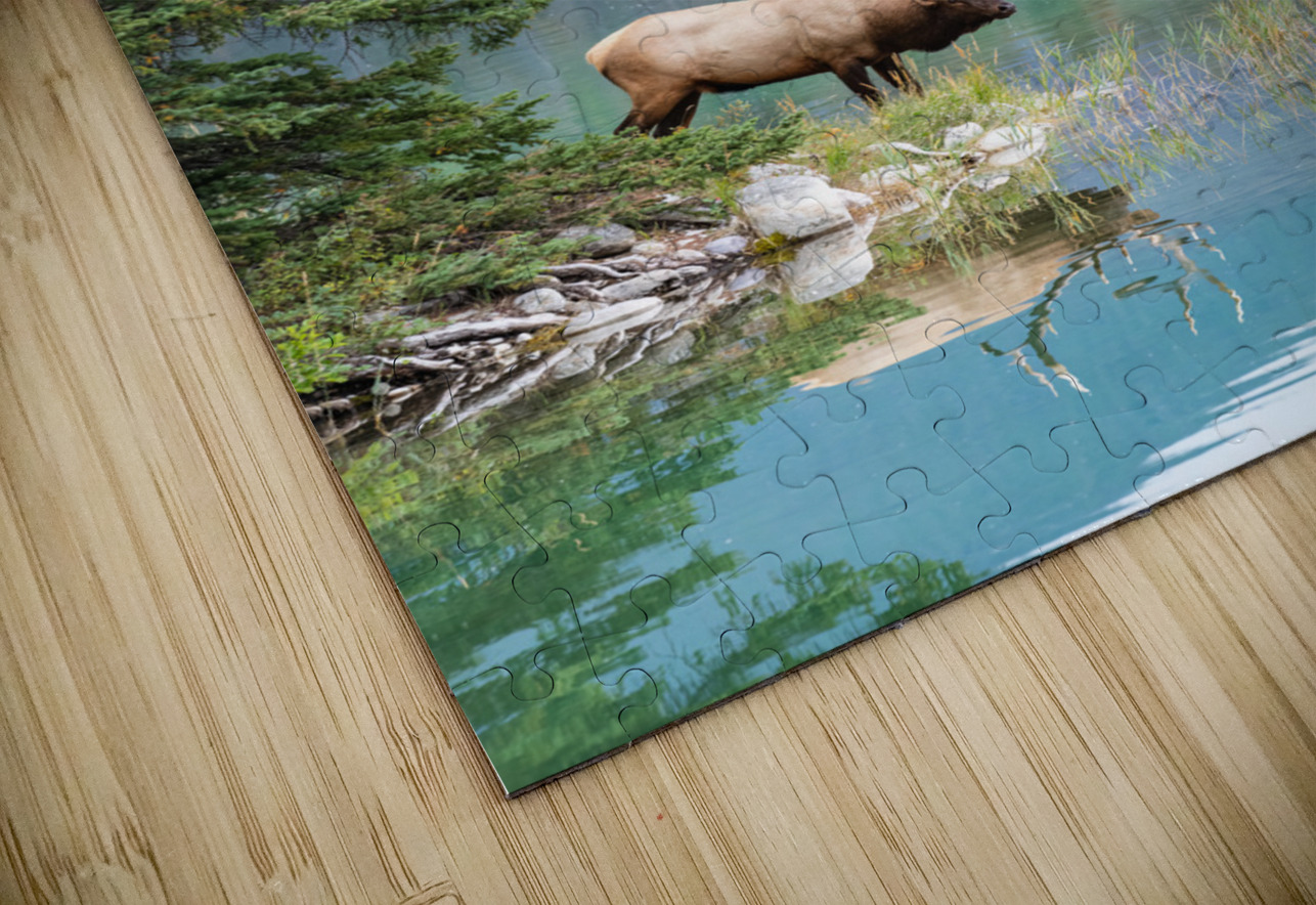 Bull Elk Randy Tremblay Photography Puzzle