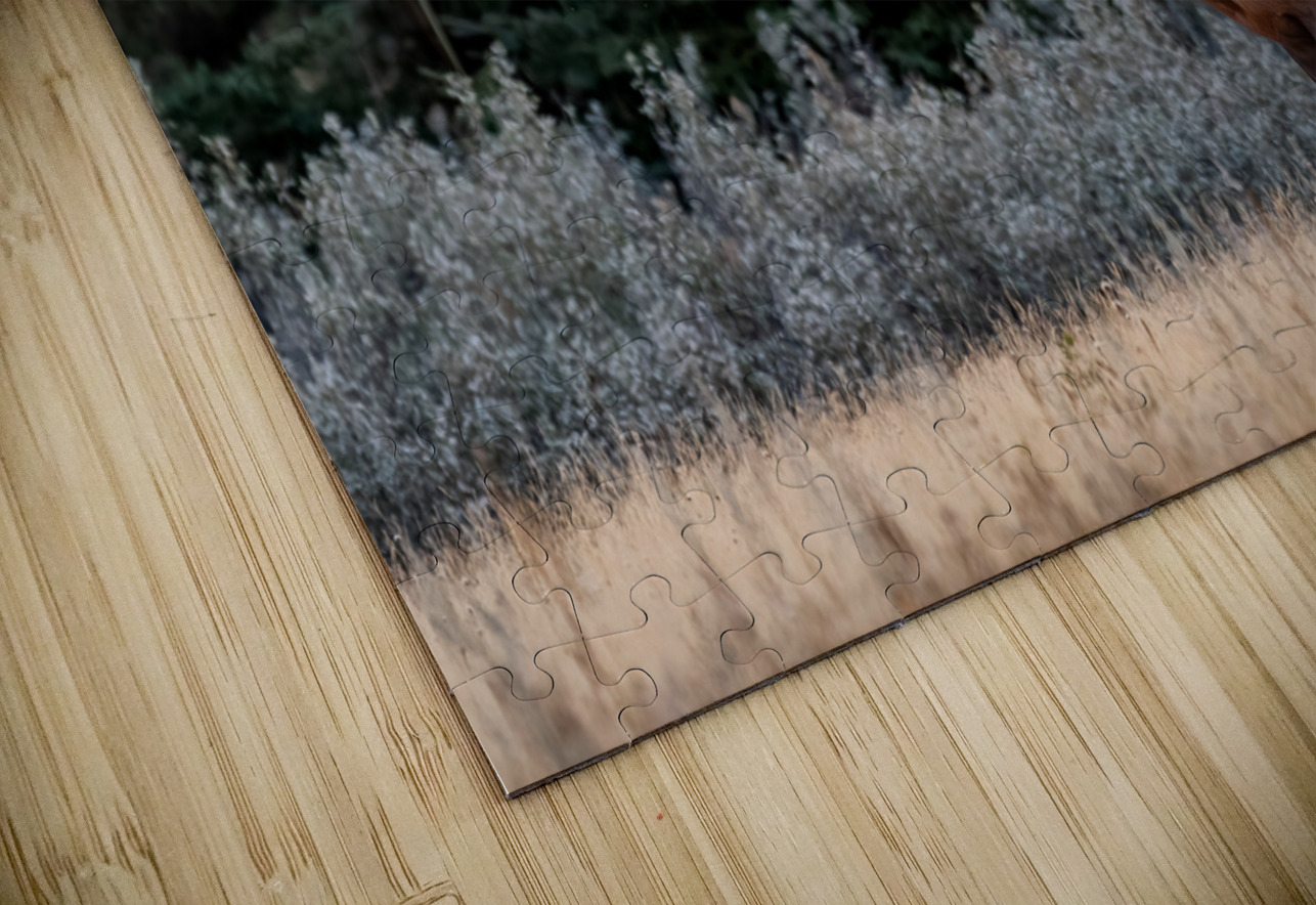 Bull Elk Randy Tremblay Photography Puzzle