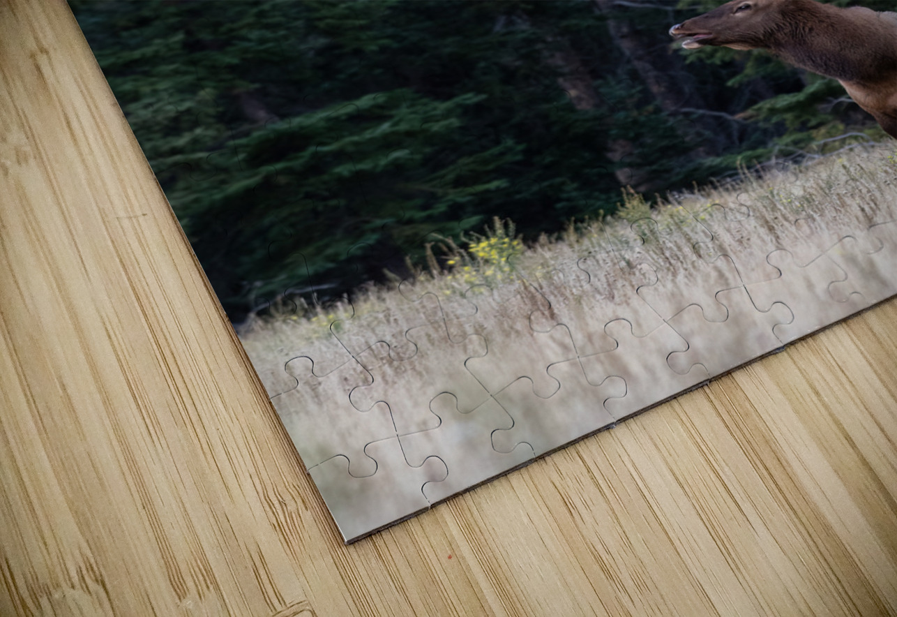 Bull Elk Randy Tremblay Photography Puzzle