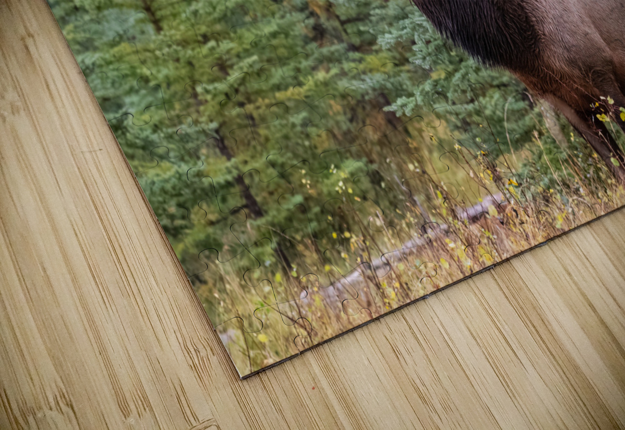 Bull Elk Randy Tremblay Photography Puzzle