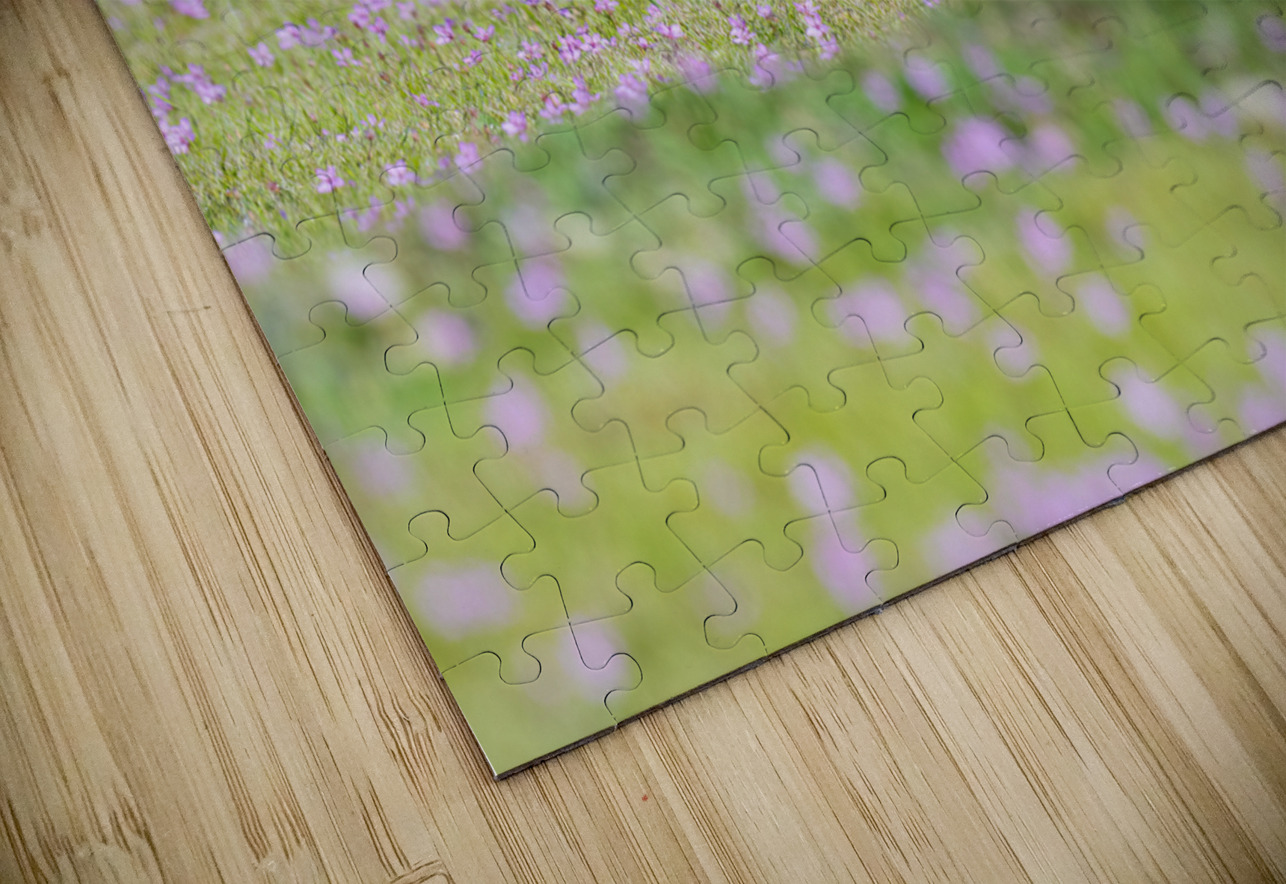 Red Fox Kit Randy Tremblay Photography Puzzle