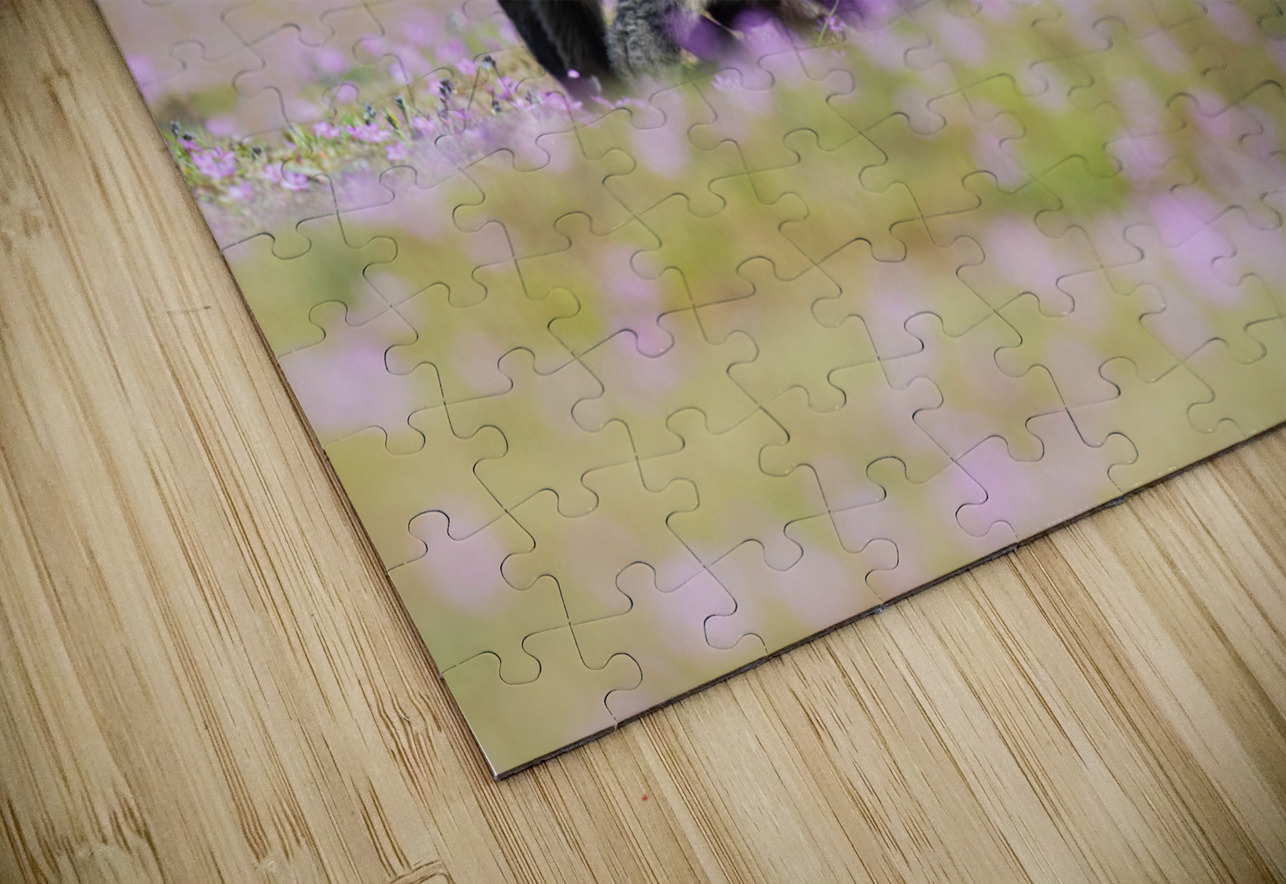 Red Fox with Kits Randy Tremblay Photography Puzzle