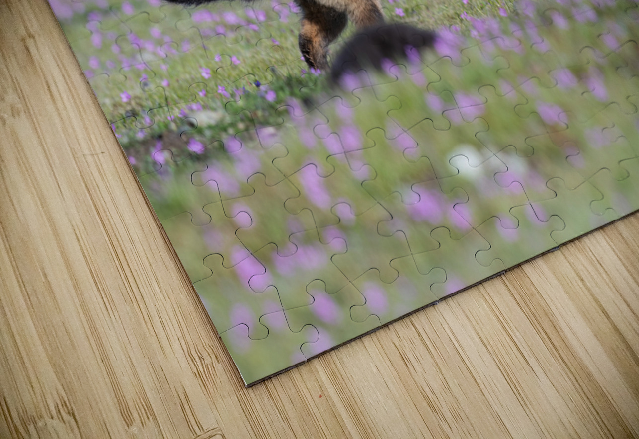 Red Fox Kits Randy Tremblay Photography Puzzle