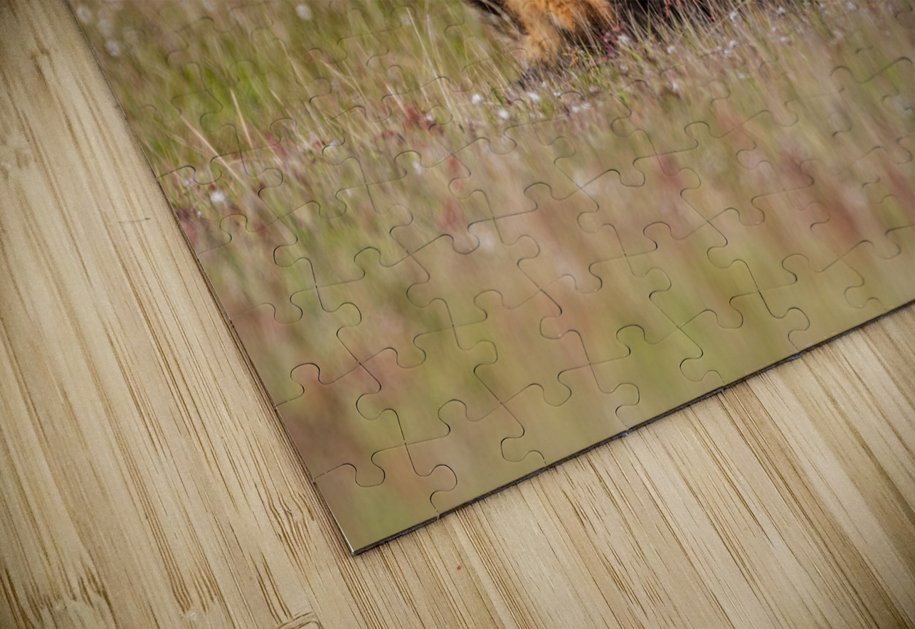 Red Fox Kits Randy Tremblay Photography Puzzle