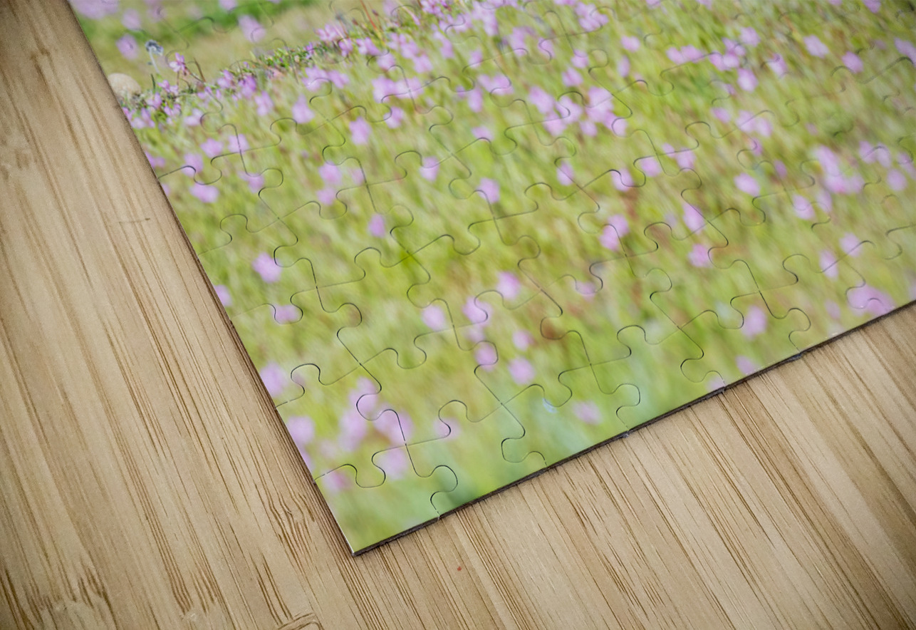 Red Fox Kit Randy Tremblay Photography Puzzle