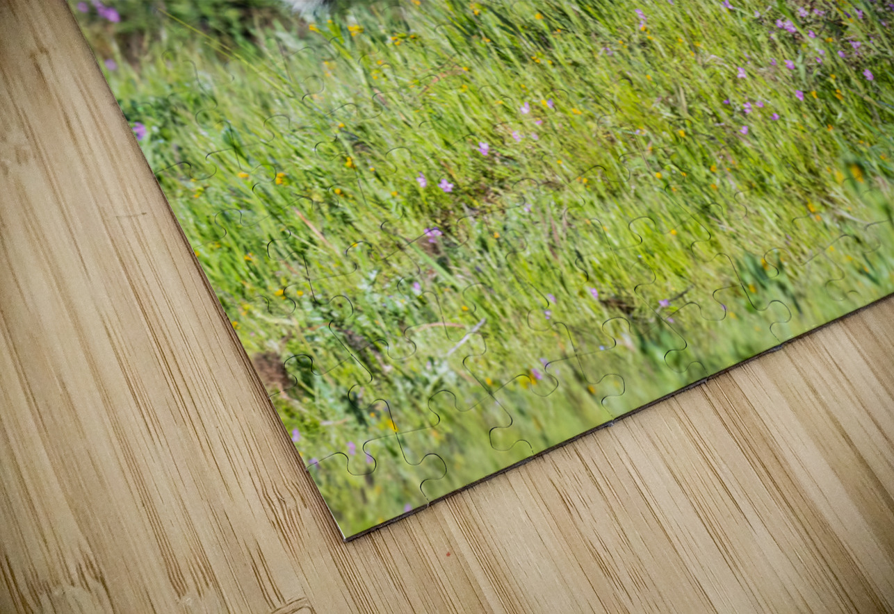Red Fox Kits Randy Tremblay Photography Puzzle