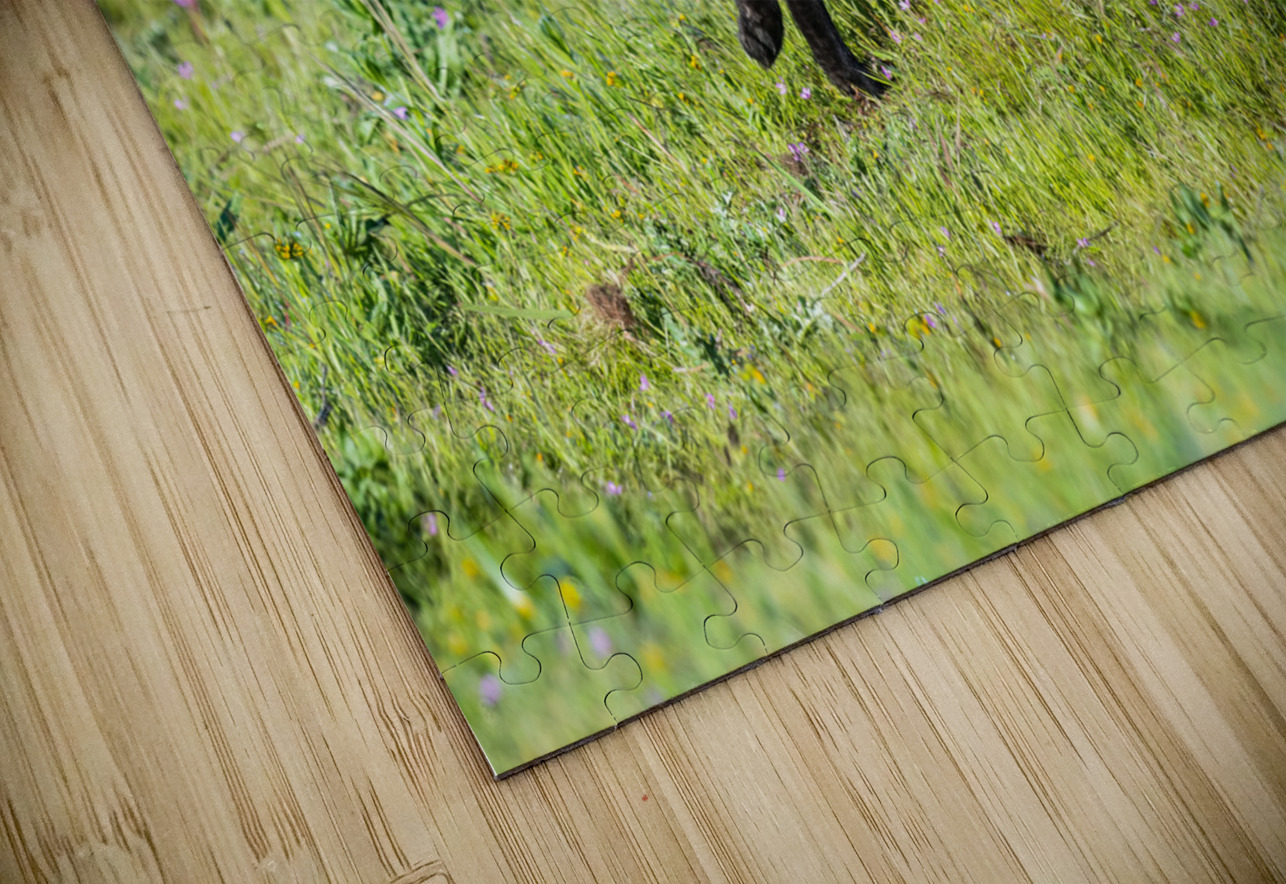 Red Fox Kits Randy Tremblay Photography Puzzle