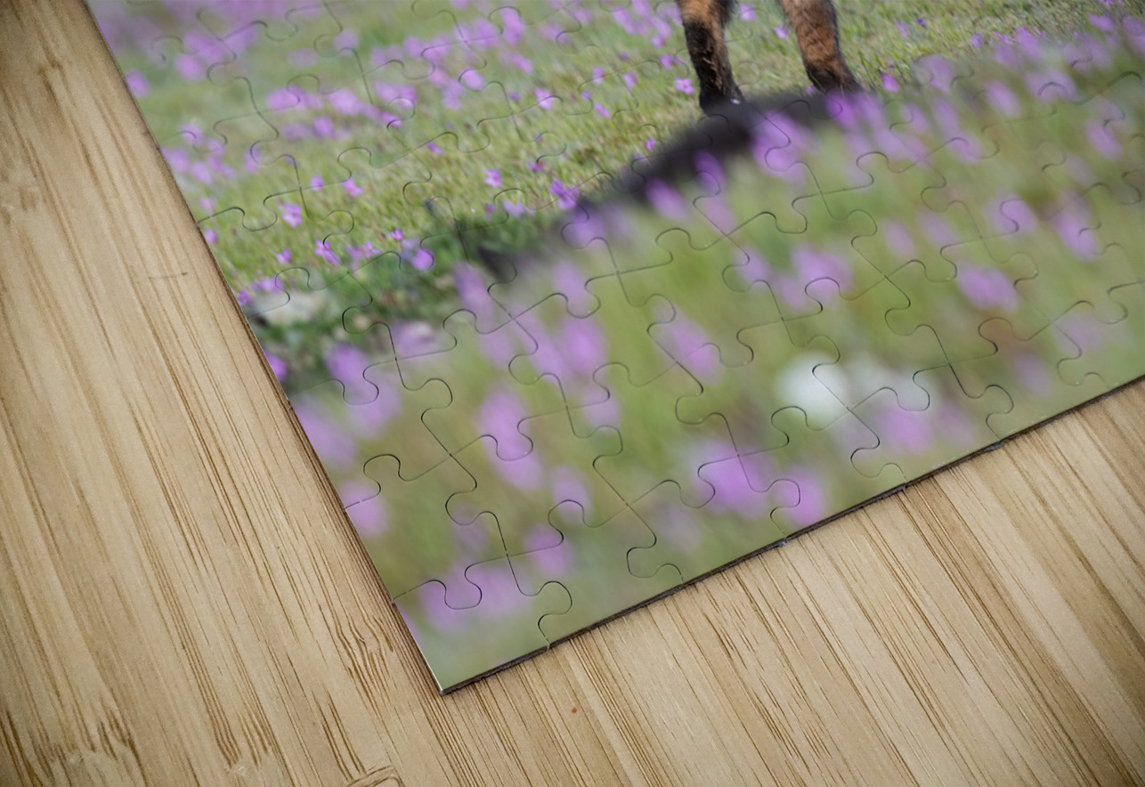 Red Fox Kits Randy Tremblay Photography Puzzle