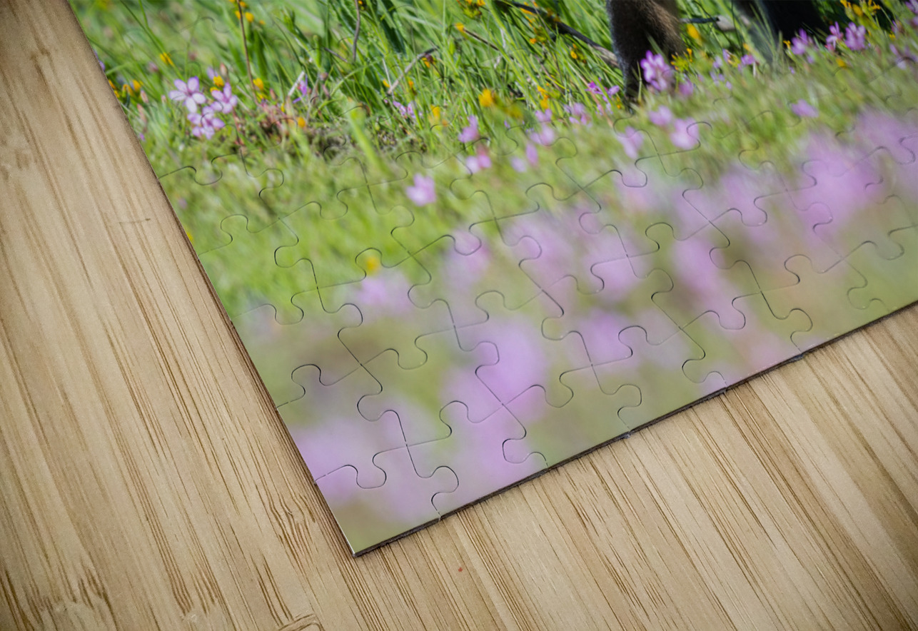 Red Fox Kit Randy Tremblay Photography Puzzle