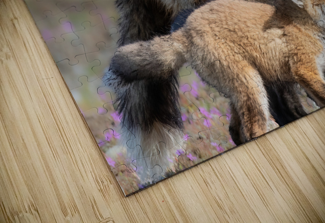 Red Fox with Kits Randy Tremblay Photography Puzzle