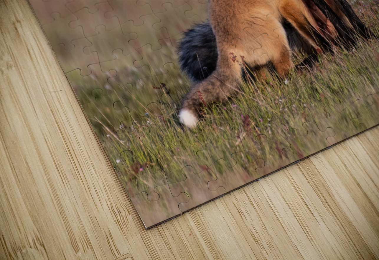 Red Fox with Kit Randy Tremblay Photography Puzzle