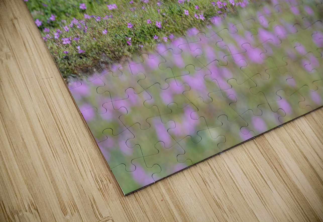 Red Fox Kit Randy Tremblay Photography Puzzle