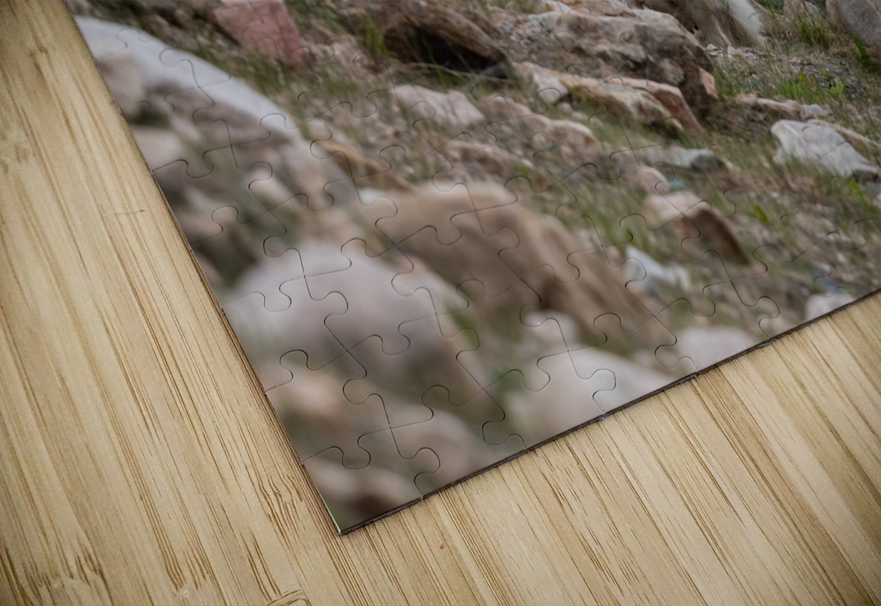 Mountain Goats Randy Tremblay Photography Puzzle