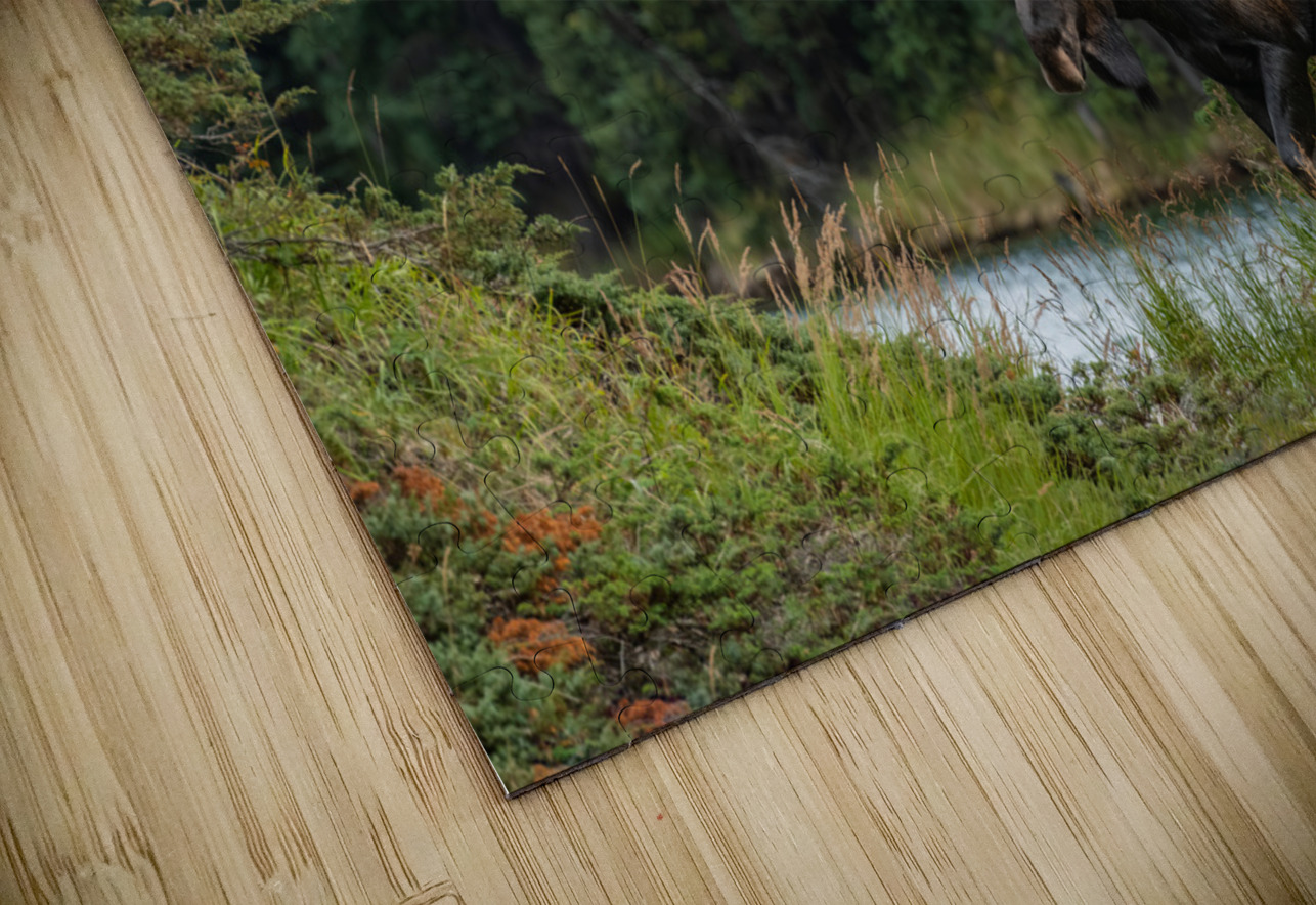 Bull Moose Randy Tremblay Photography Puzzle