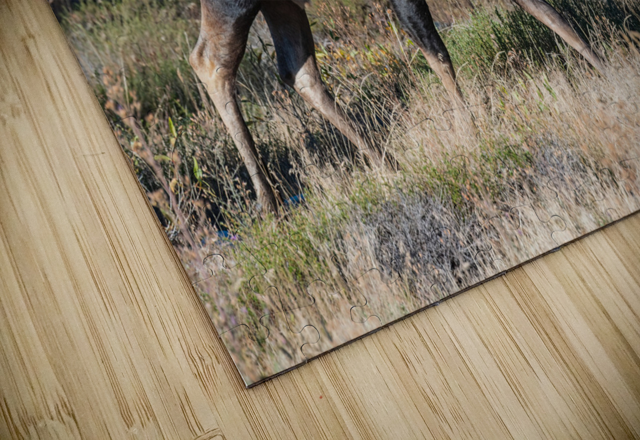 Bull Moose Randy Tremblay Photography Puzzle