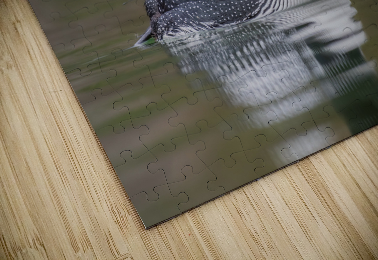 Common Loon Randy Tremblay Photography Puzzle