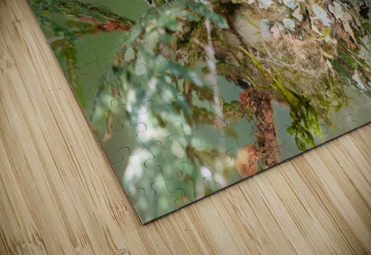 Female Rufous Hummingbird Randy Tremblay Photography Puzzle