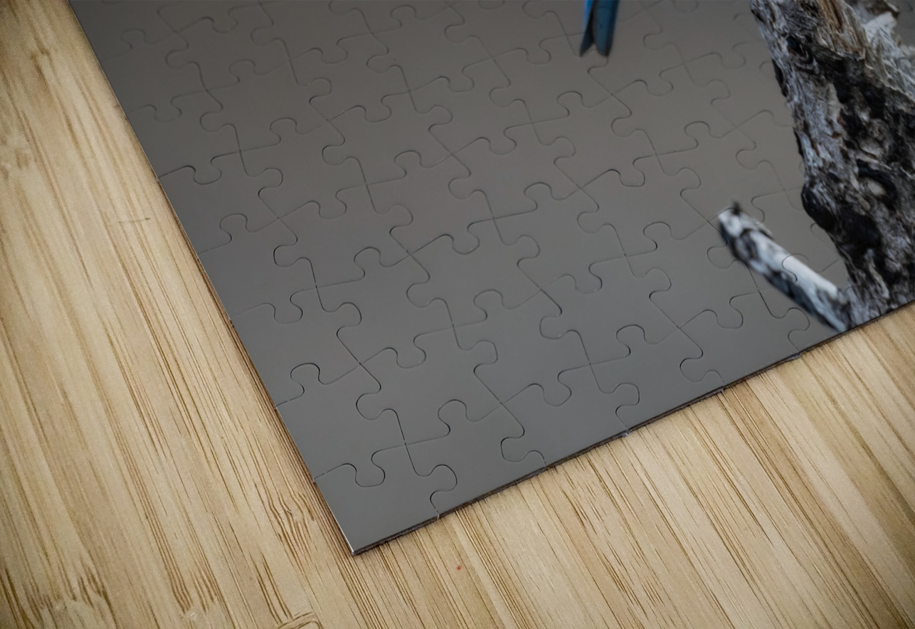 Male Mountain Bluebird Randy Tremblay Photography Puzzle