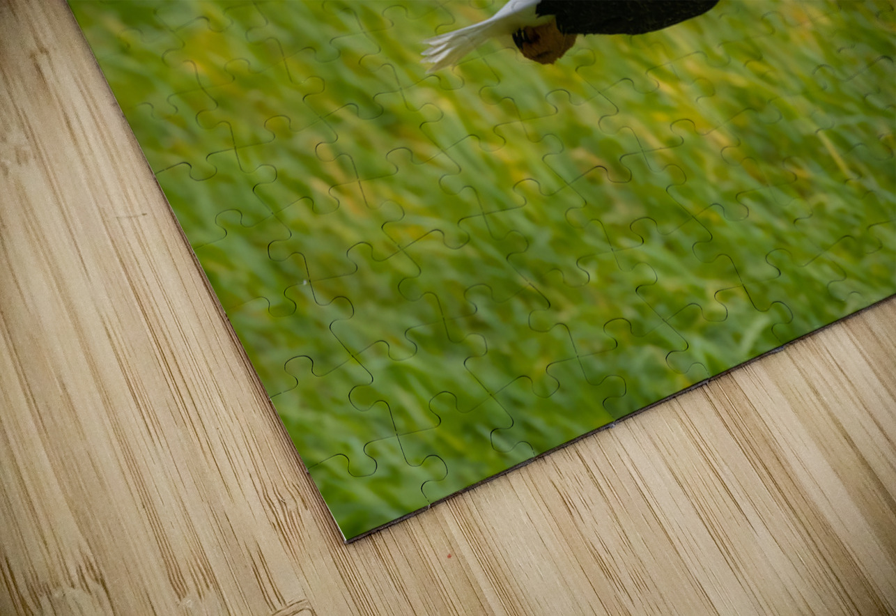 Bald Eagle Randy Tremblay Photography Puzzle