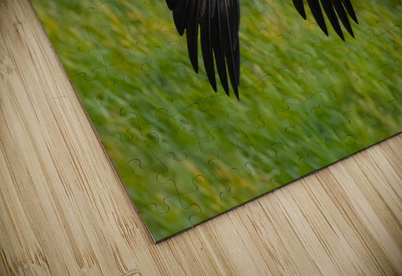 Bald Eagle Randy Tremblay Photography Puzzle