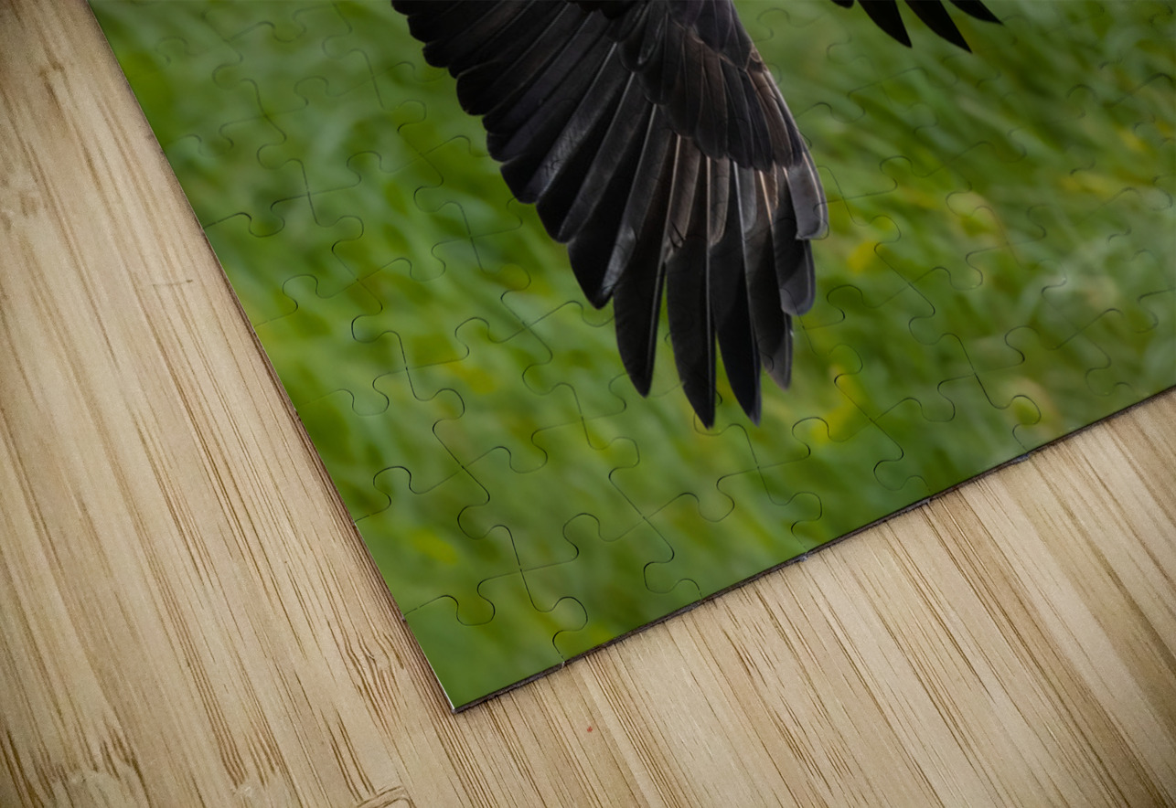 Bald Eagle Randy Tremblay Photography Puzzle