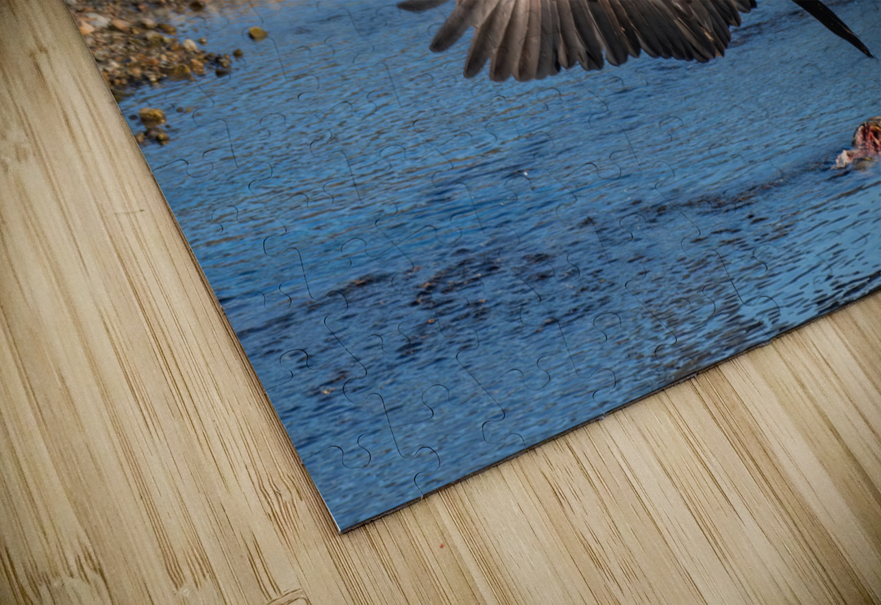 Juvenile Bald Eagles Randy Tremblay Photography Puzzle