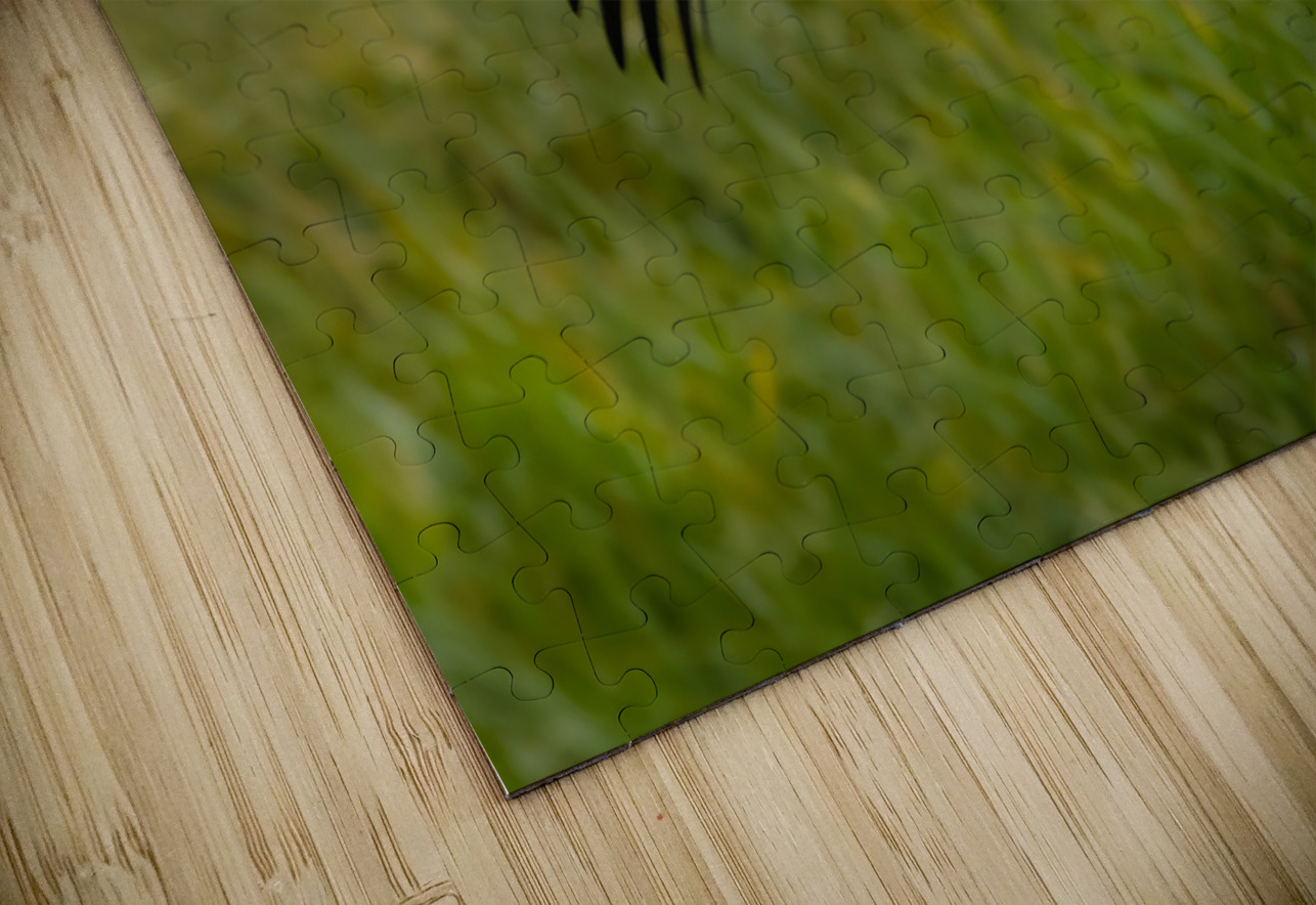 Bald Eagle Randy Tremblay Photography Puzzle