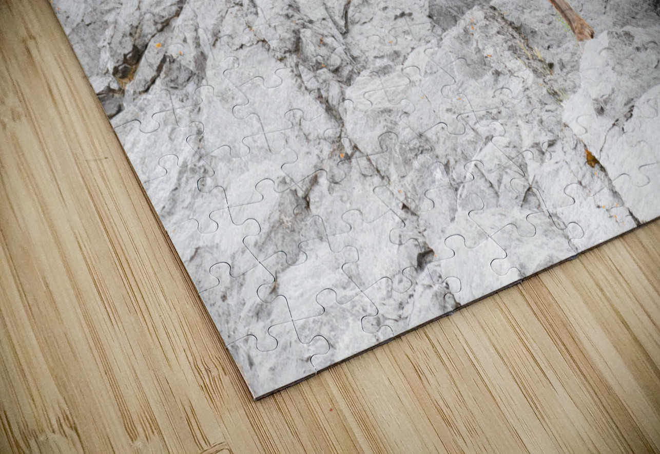 Bighorn Ram Randy Tremblay Photography Puzzle