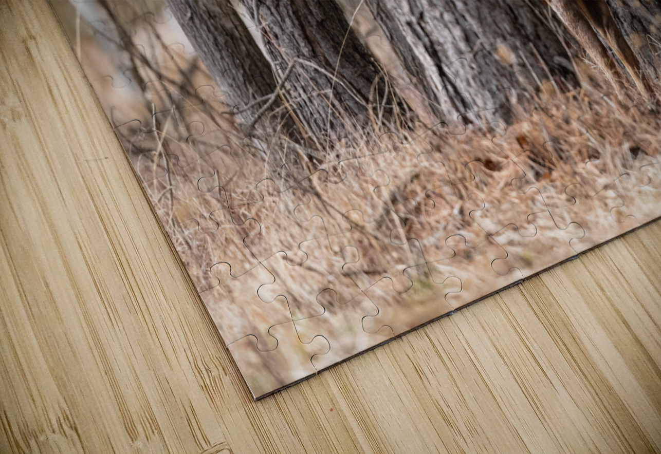 Bighorn Ram Randy Tremblay Photography Puzzle