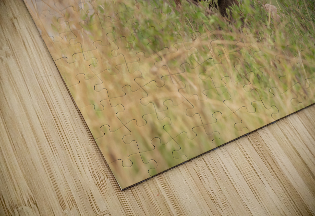 Bighorn Ram Randy Tremblay Photography Puzzle