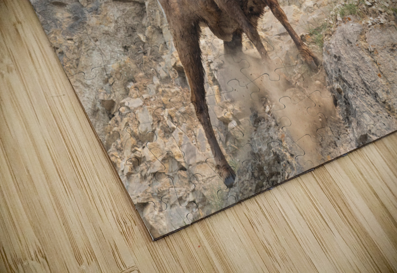 Bighorn Ram Randy Tremblay Photography Puzzle